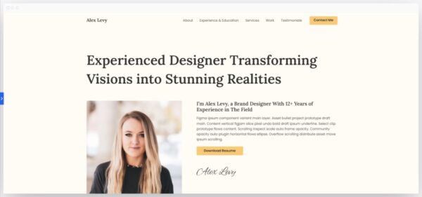 Portfolio & CV